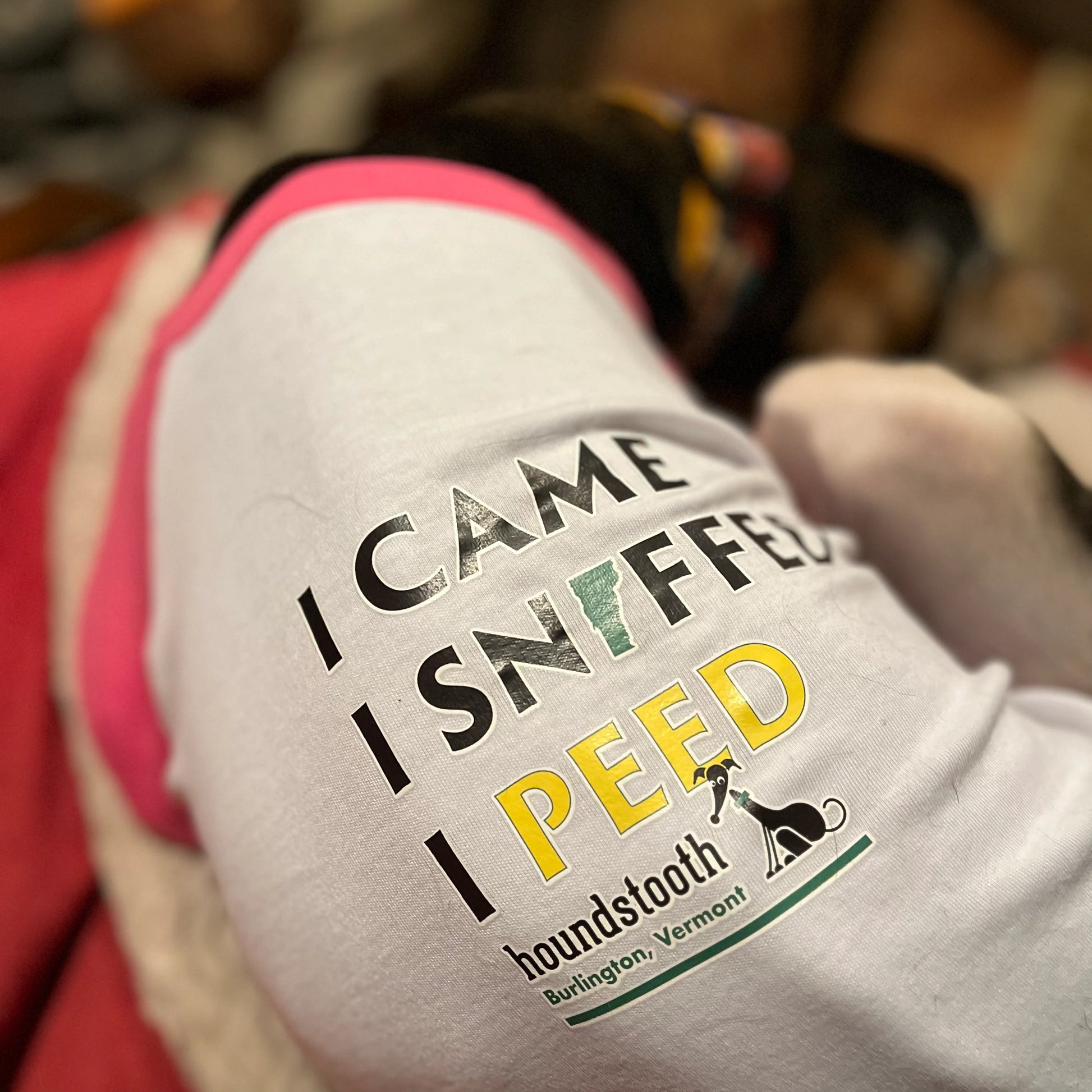 I Came I Sniffed Houndstooth Raglan Baseball Tee by Houndstooth