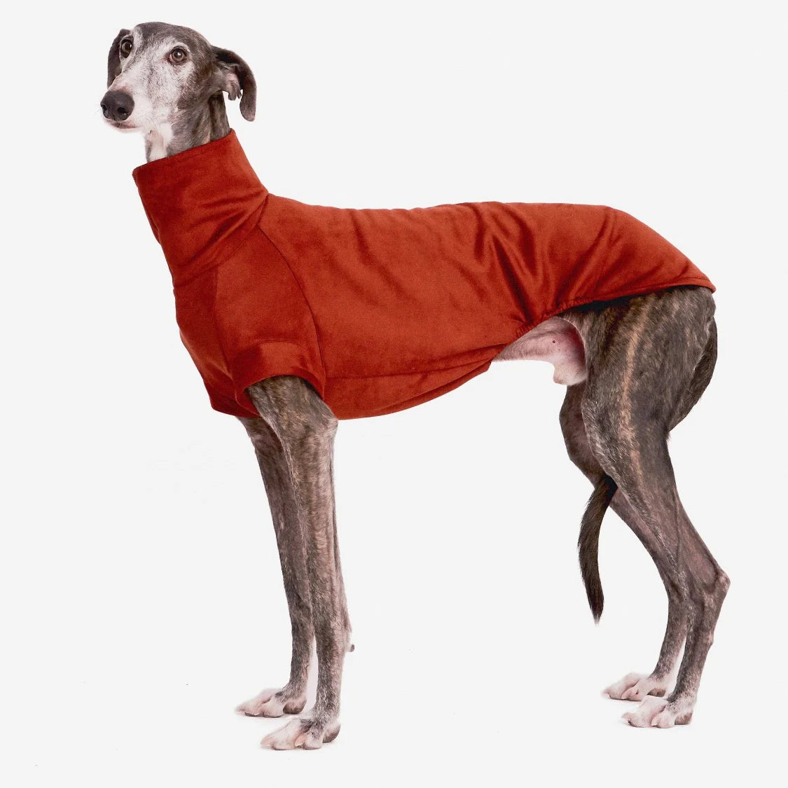 FORGALGO Sweatshirt by Houndstooth