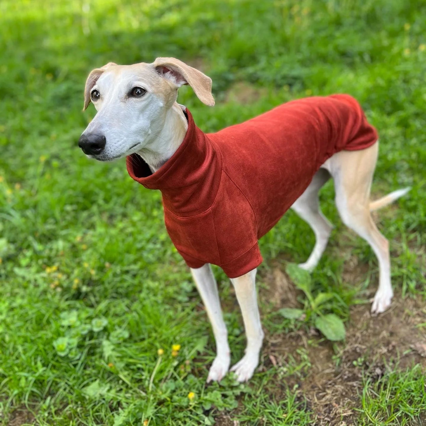 FORGALGO Sweatshirt by Houndstooth