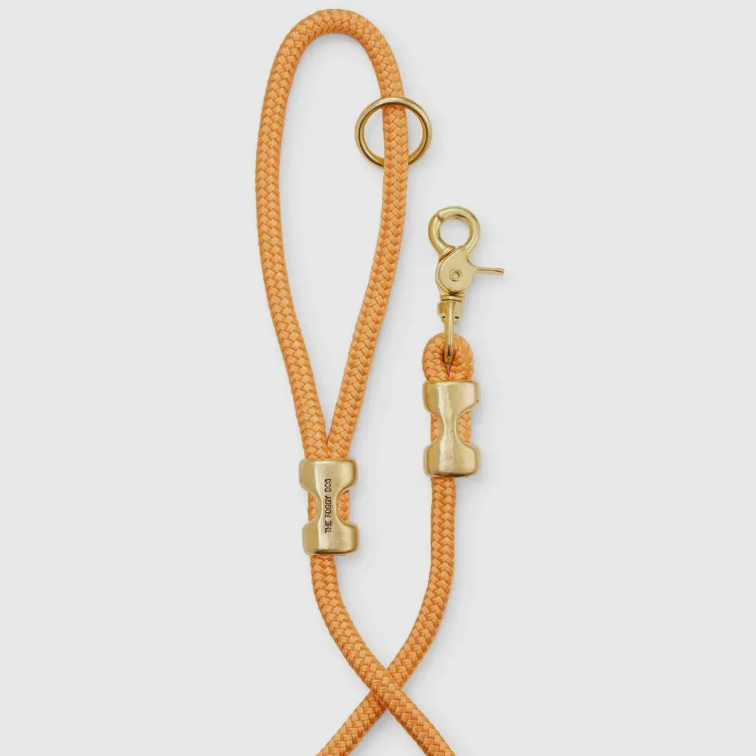 The Foggy Dog Rope Lead by Houndstooth