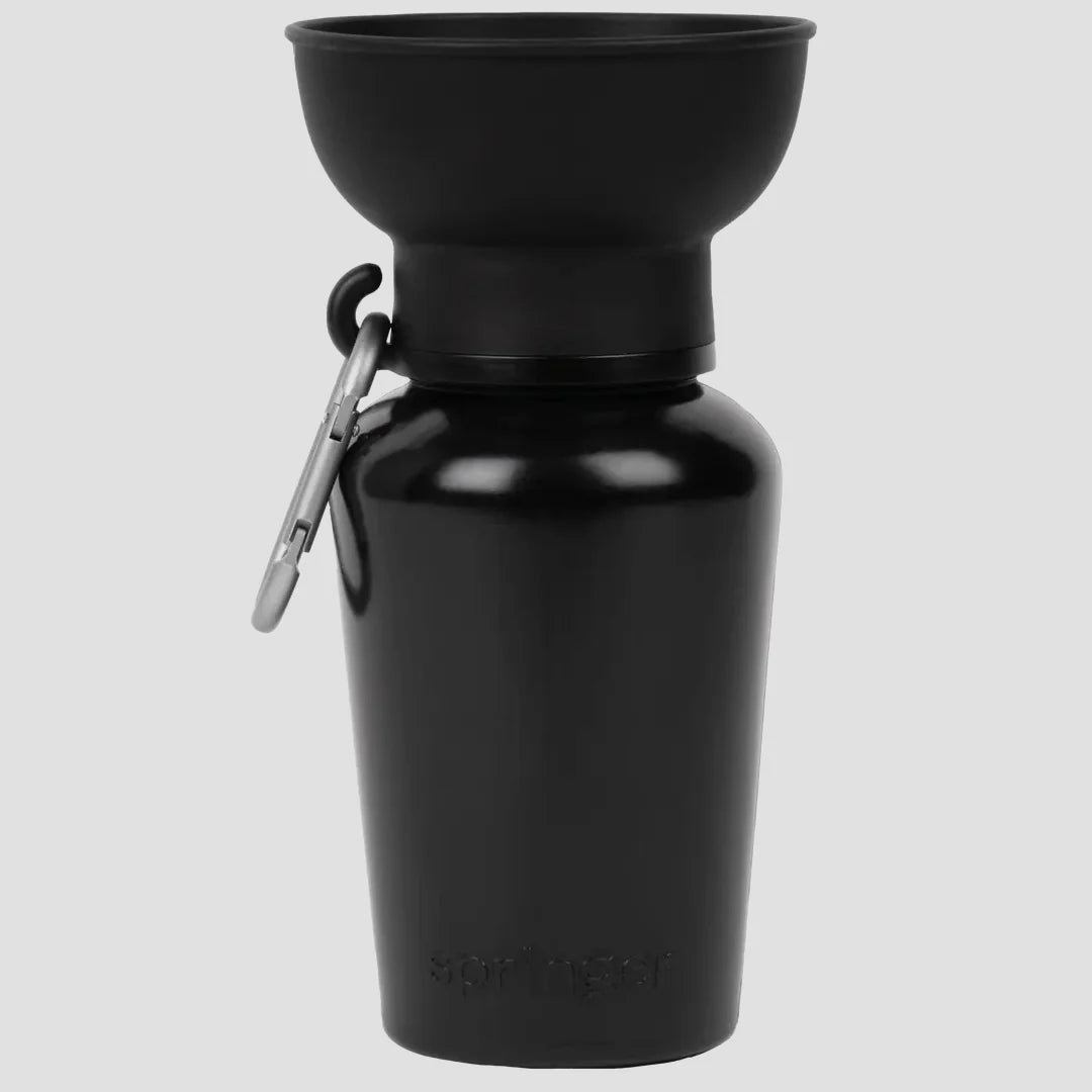 Springer 20 oz Flip Dog Travel Bottle by Houndstooth