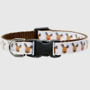 Sweet Pickles Holiday Cat Collar and Bell by Houndstooth