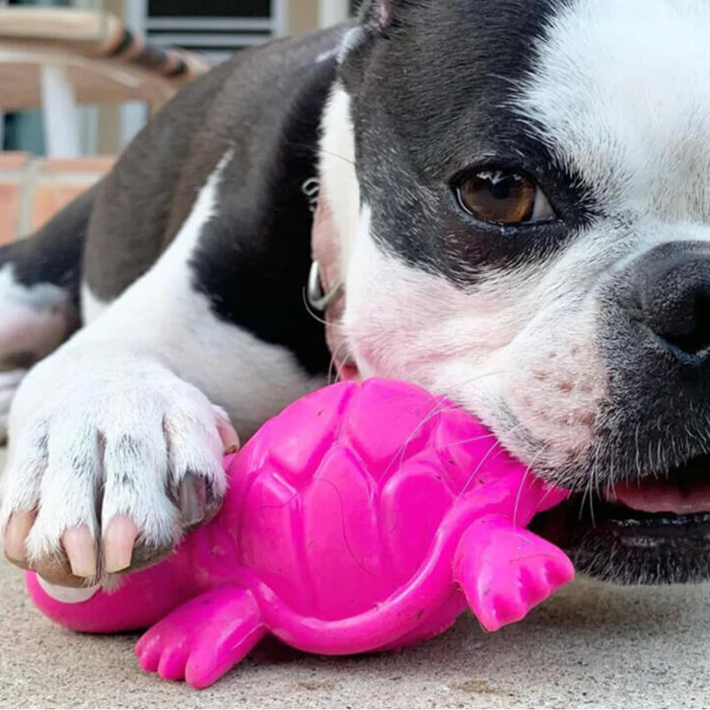Cycle Dog Ecolast 3 Play Turtle by Houndstooth