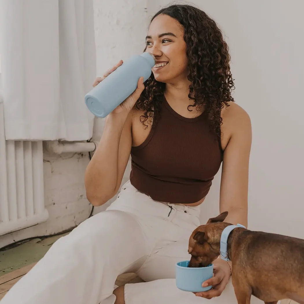 Springer Dog & Me Water Bottle by Houndstooth