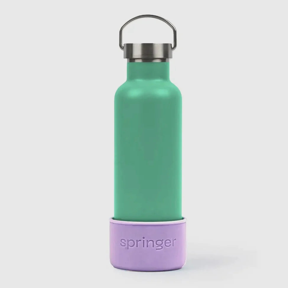 Springer Dog & Me Water Bottle by Houndstooth