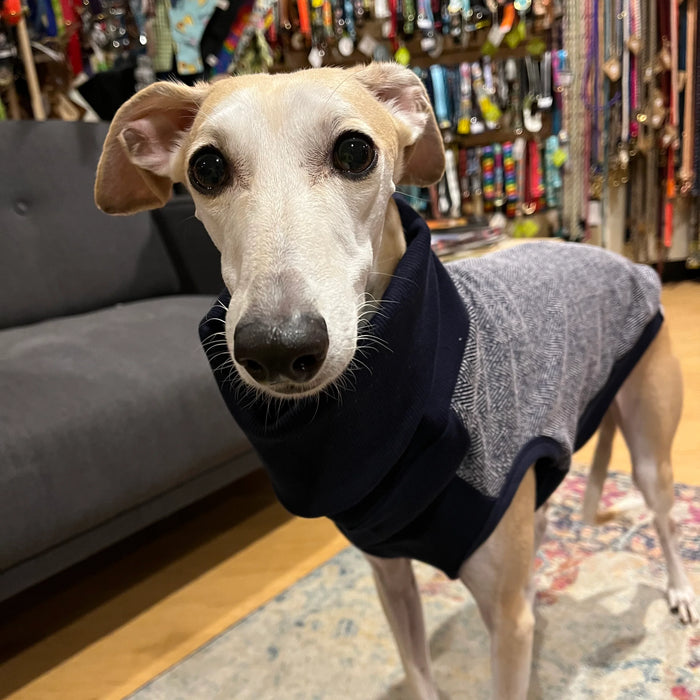 Long Dog Clothing George Turtleneck