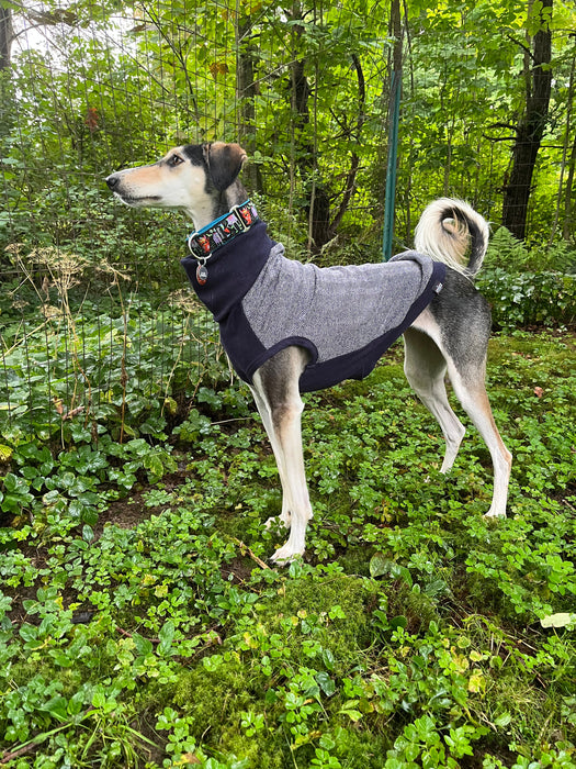 Long Dog Clothing George Turtleneck