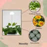 White Adjustable LED Plant Light