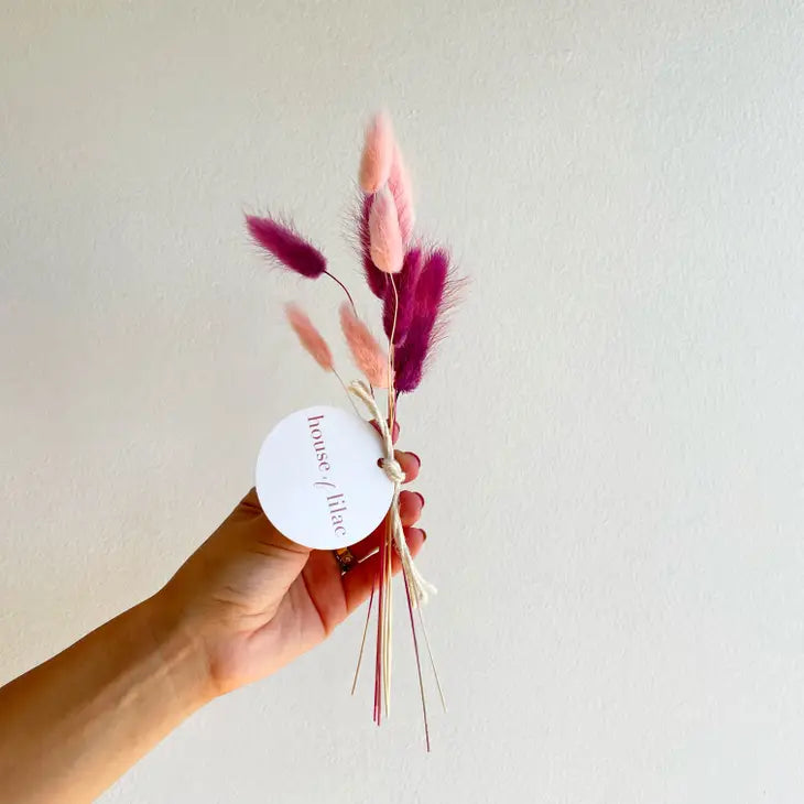 Dried Flower Bunny Tail Bundle