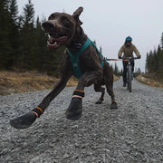 Nonstop Dogwear Protector Bootie by Houndstooth