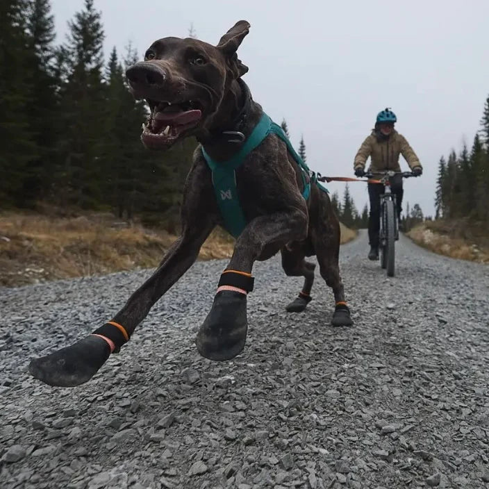 Nonstop Dogwear Protector Bootie by Houndstooth