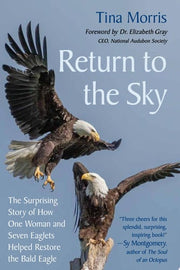 Return to the Sky: The Surprising Story of How One