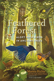 Feathered Forest - Aloft with Birds in Ancient Trees