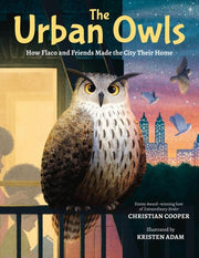 Urban Owls