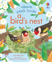 Peek Inside a Birds Nest