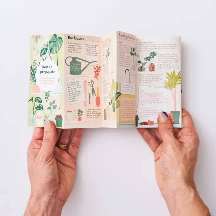 Propagation A Plant Pocket Guide For Houseplant Lovers