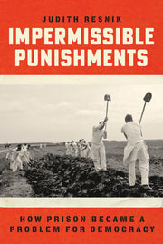 Impermissible Punishments How Prison Became a Problem for Democracy