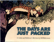 Days Are Just Packed : A Calvin and Hobbes Collect