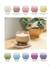 Studio Collection - Spiced Pumpkin by Homeportonline