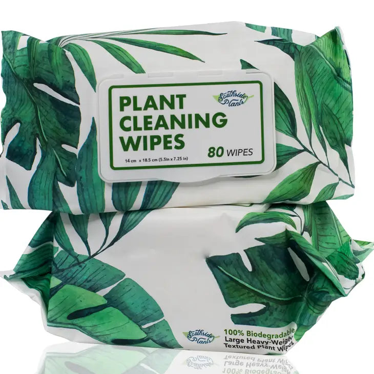 Houseplant Cleaning and Dusting Wipes by Wild Lark