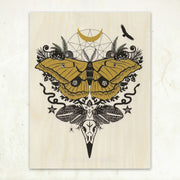 Silk Moth Wood Print (8.5x11)