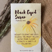 Black Eyed Susan Flower Seeds