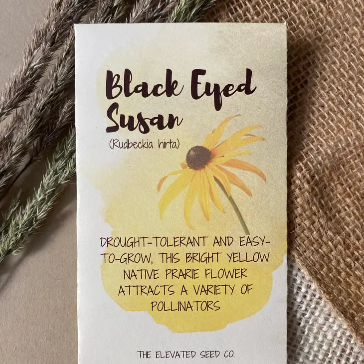 Black Eyed Susan Flower Seeds