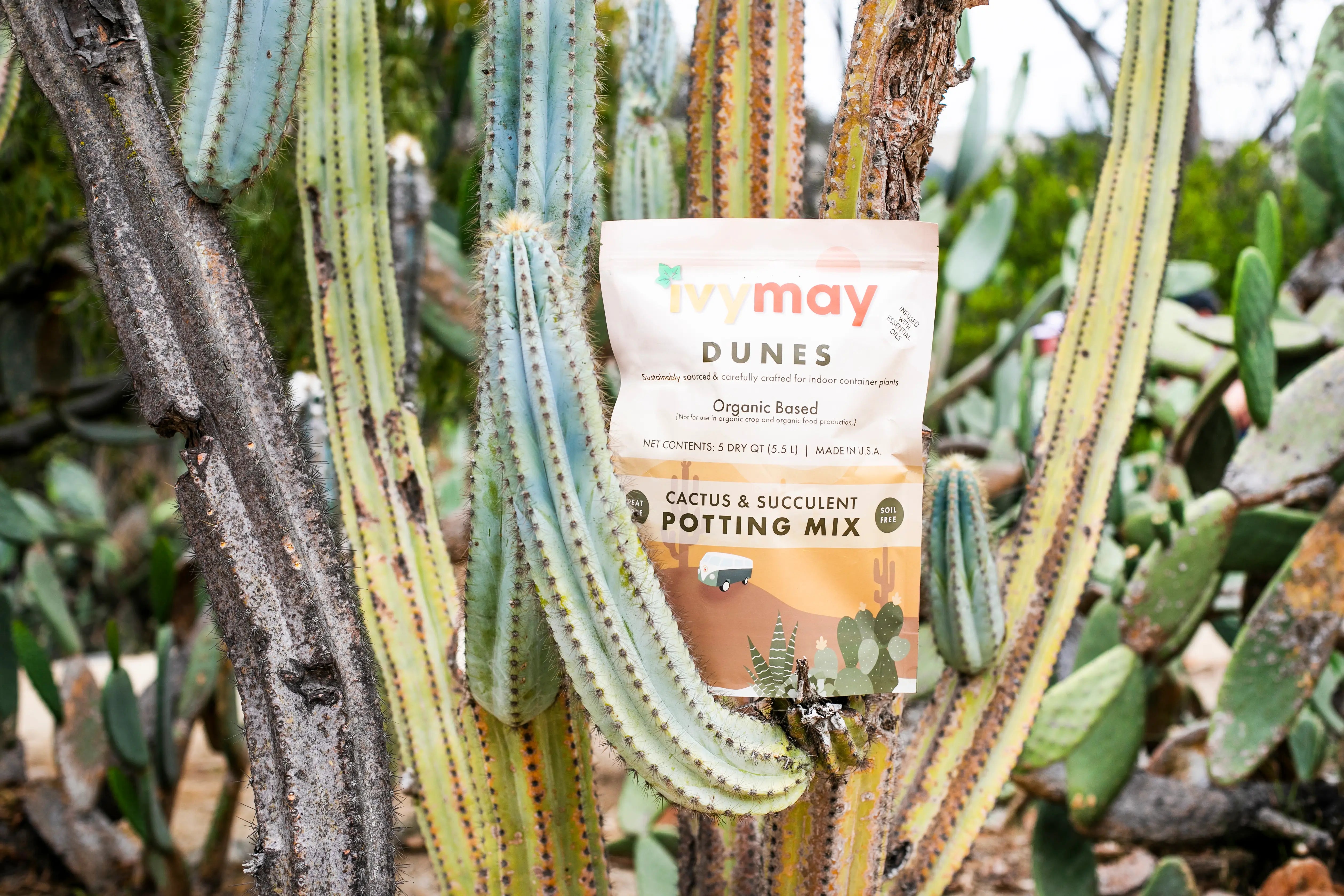 Dunes Cactus & Succulent Potting Mix - 5 qt. - Peat Free