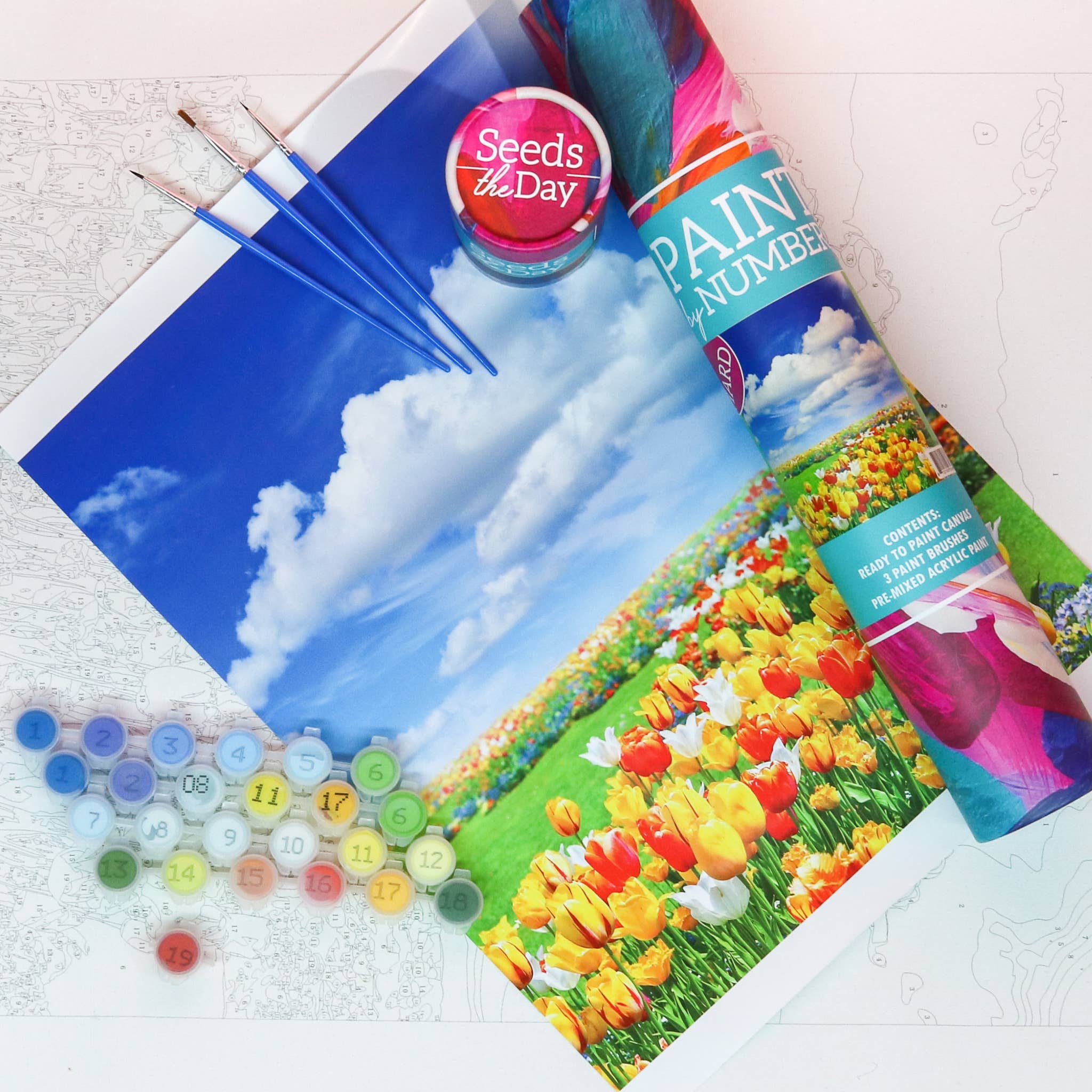 HARD Tulip Meadow Adult DIY Paint-By-Numbers by SidePony Boutique