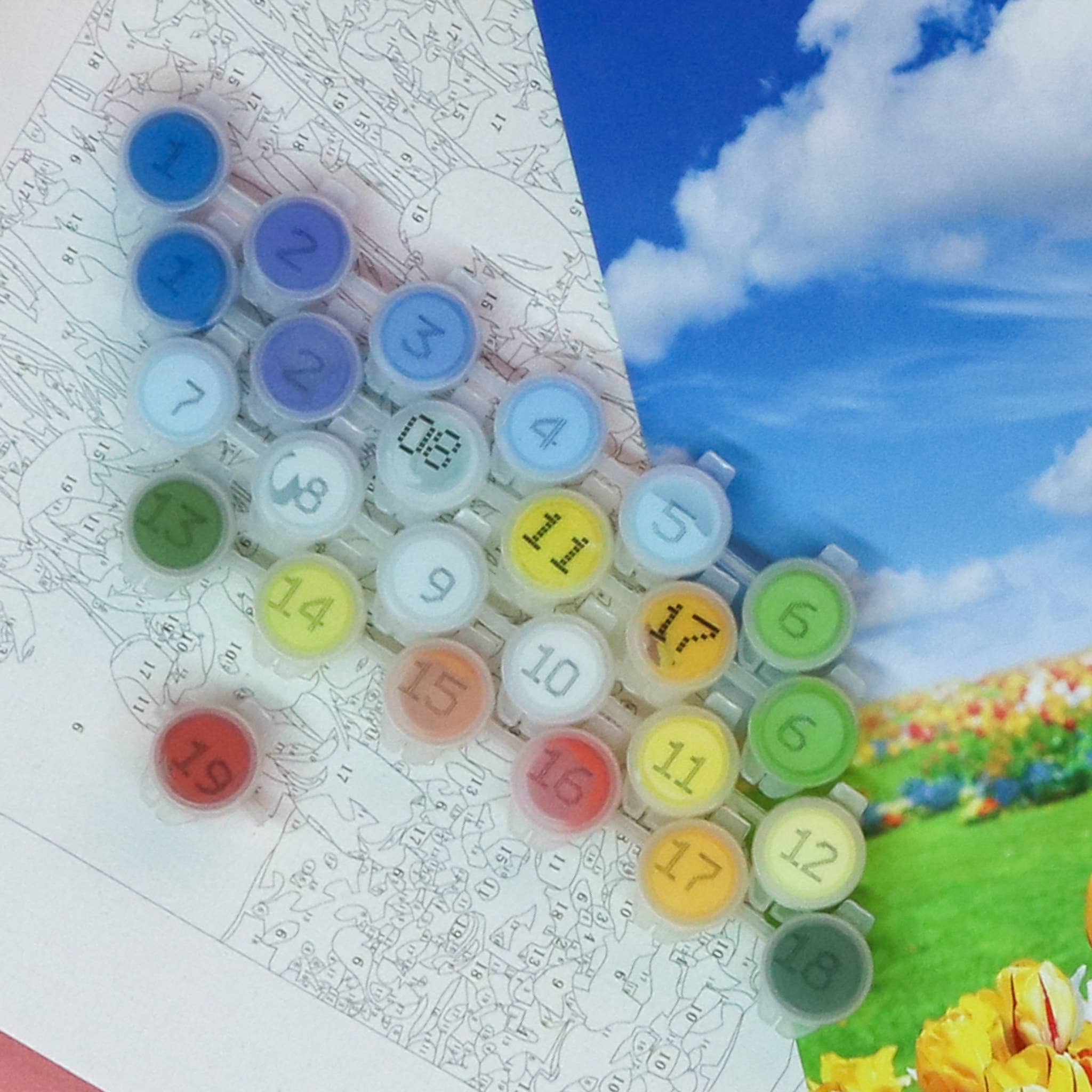 HARD Tulip Meadow Adult DIY Paint-By-Numbers by SidePony Boutique