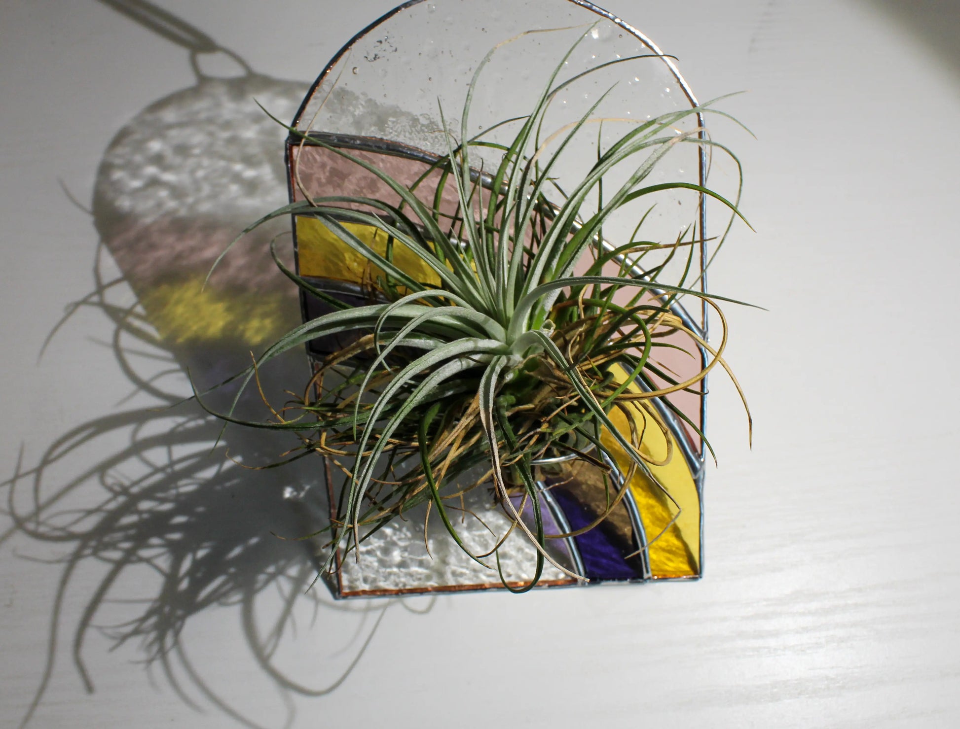 Rainbow Stained Glass - Air Plant Holder by Wild Lark