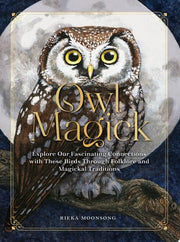 Owl Magick: Exploring Our Fascinating Connections