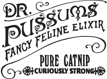 Dr. Pussums Party Pack Halloween Cat Toy