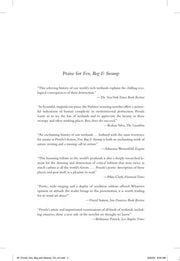 Fen Bog and Swamp A Short History of Peatland Dest