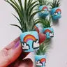 Air Plant + Mini Planter by Wild Lark