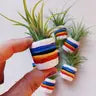 Air Plant + Mini Planter by Wild Lark