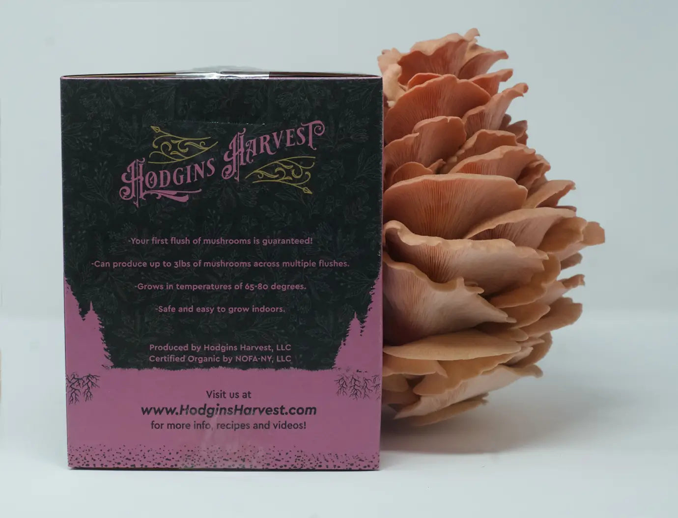 Organic Mushroom Grow-Your-Own Kits