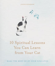 10 Spiritual Lessons You Can Learn from Your Cat Essential Life Lessons We Can Learn from Our Furry Friend