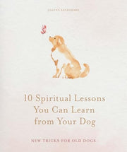 10 Spiritual Lessons You Can Learn from Your Dog