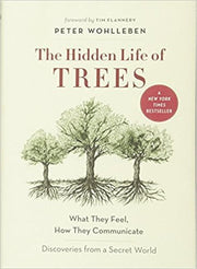 Hidden Life of Trees : What They Feel, How They Co