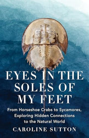 EYES IN THE SOLES OF MY FEET
