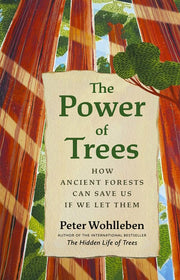 Power of Trees How Ancient Forests Can Save Us if