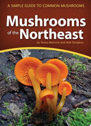 Mushrooms of the Northeast : A Simple Guide to Com