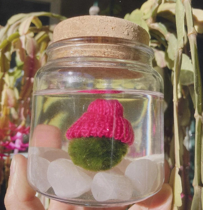 Beanie Hat - Moss
