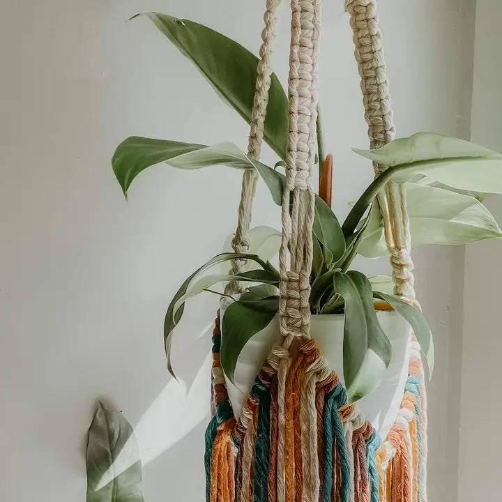 Macrame Plant Hanger with Fringe