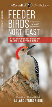 Feeder Birds of the Northeast : A Folding Pocket G