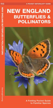 New England Butterflies & Pollinators: A Folding P