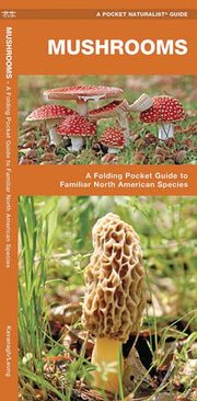 Mushrooms: An Introduction to Familiar North Ameri