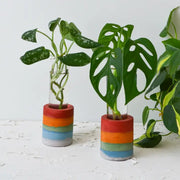 Rainbow Layered Propagation with Glass Test Tube