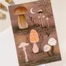 Mushroom Studies-Postcard Print
